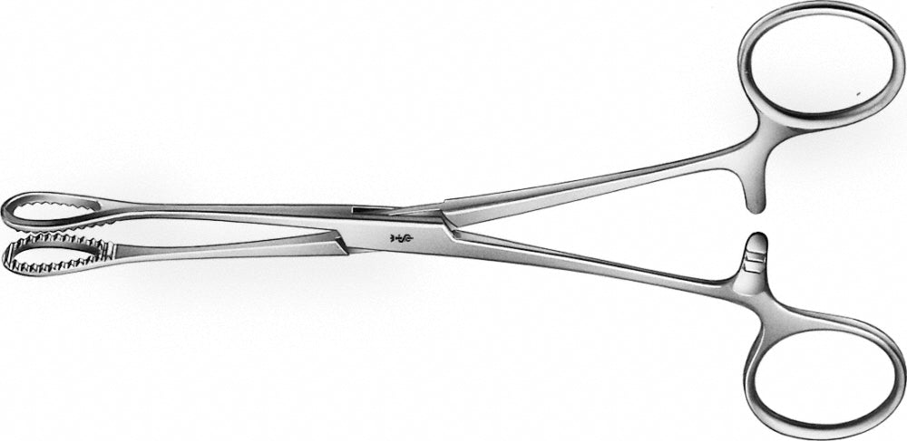 Sponge-Forceps