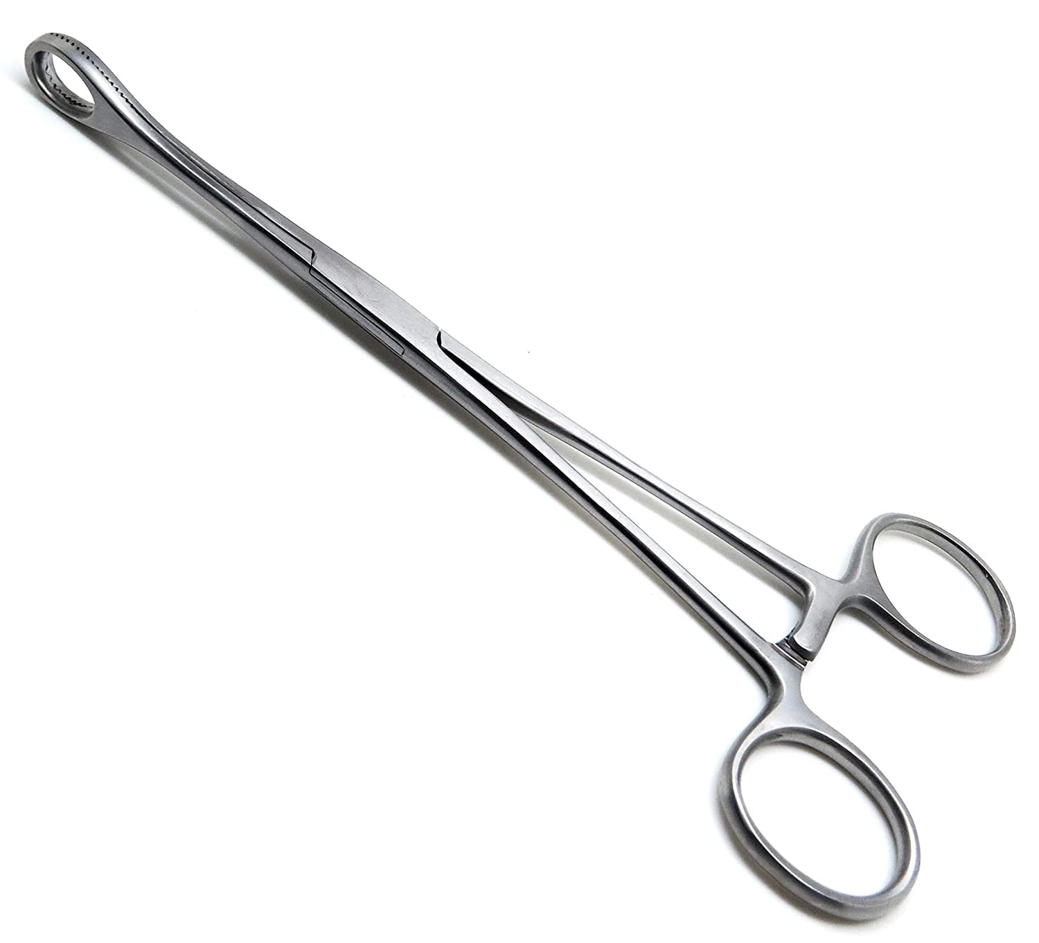 Sponge-Forceps