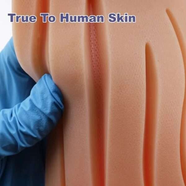 Regular  Suture Pad - Image 4