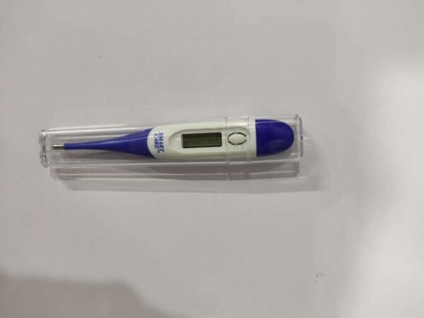 Digital Thermometer