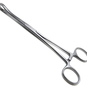 Sponge-Forceps